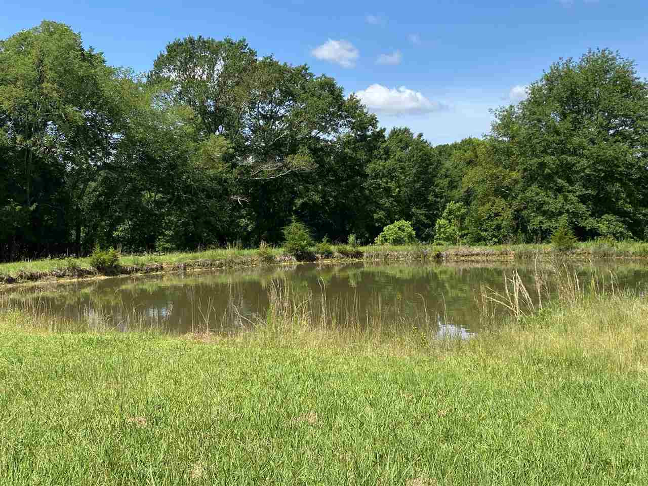 1307 North Old Canton Road Canton, MS 39046 - Photo 8 of 50 Photo 8