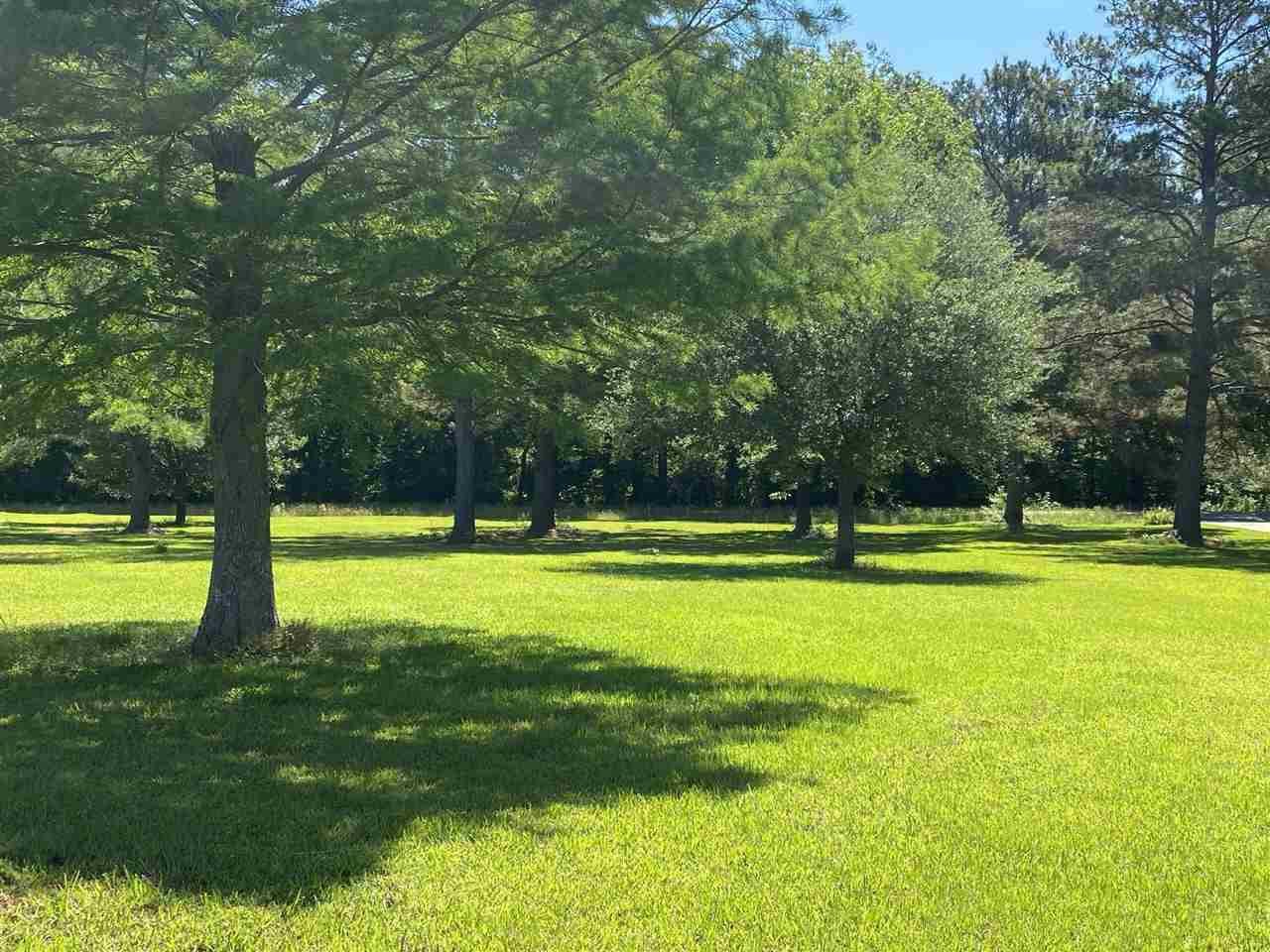 1307 North Old Canton Road Canton, MS 39046 - Photo 10 of 50 Photo 10