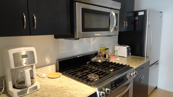 8 East Randolph Street, Unit 2506 Chicago, IL 60601 - Photo 5 of 13