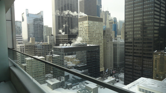 8 East Randolph Street, Unit 2506 Chicago, IL 60601 - Photo 6 of 13