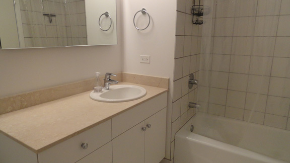 8 East Randolph Street, Unit 2506 Chicago, IL 60601 - Photo 7 of 13