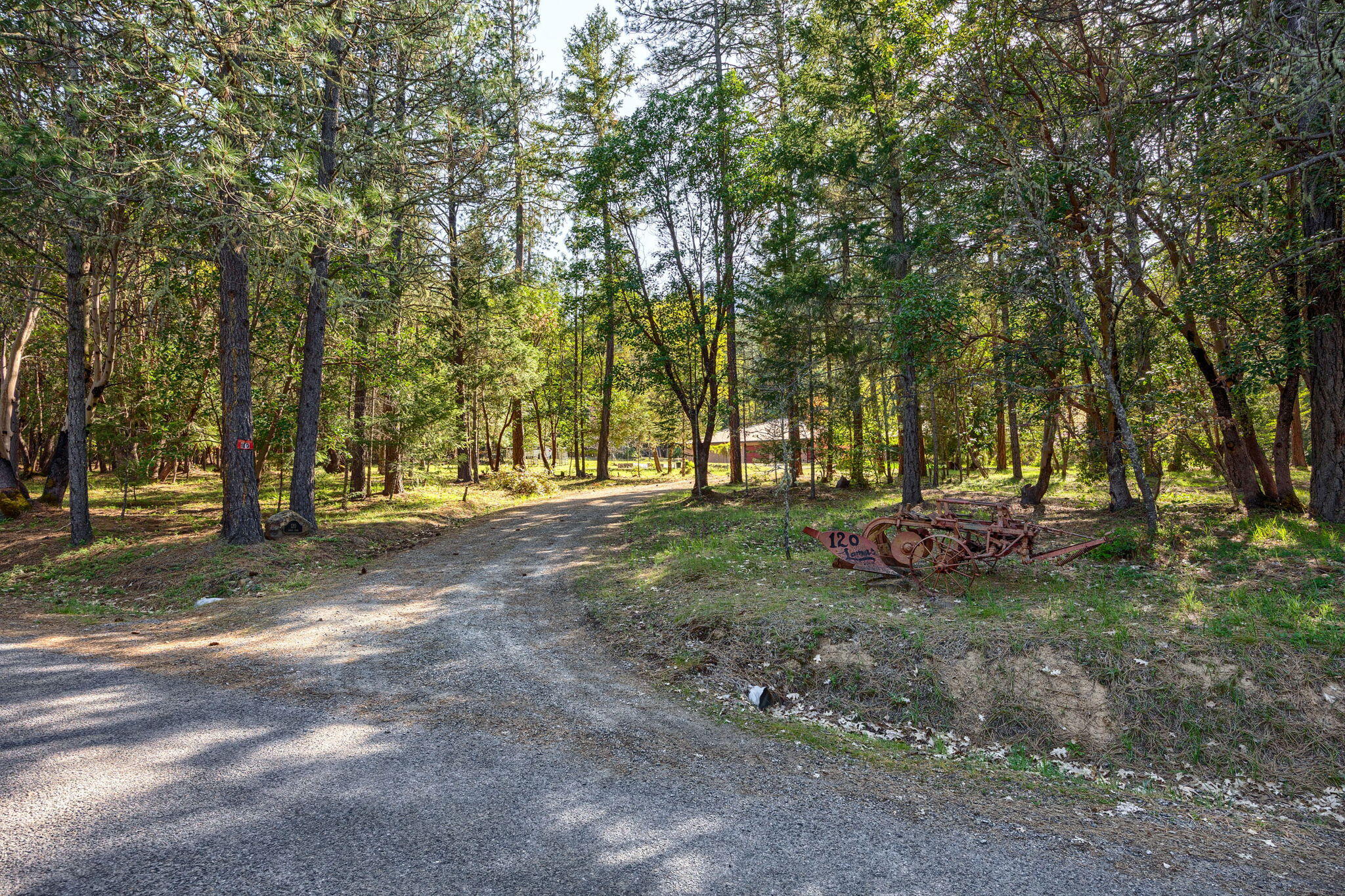 120 Lomas Road Jacksonville, OR 97530 - Photo 59 of 62 a view of a tree in the middle of a yard
