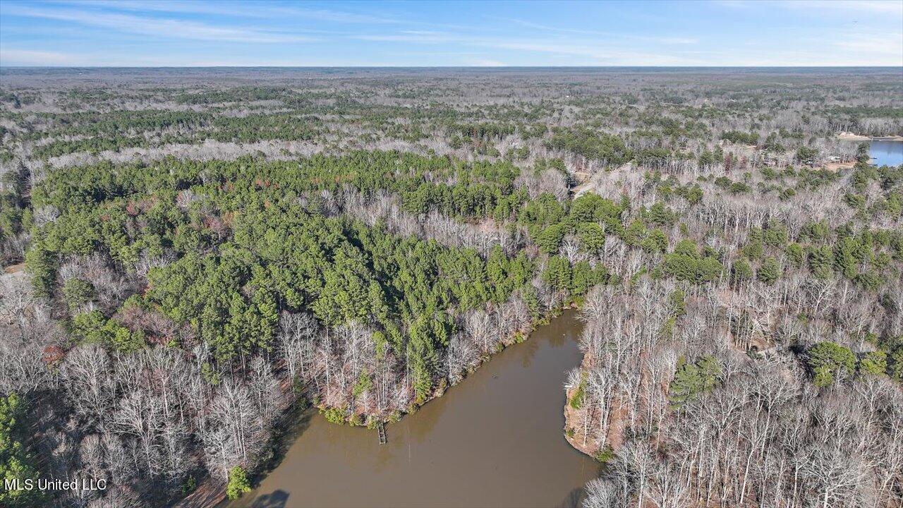1074 Ridgeside Drive Brandon, MS 39042 - Photo 26 of 30 24-1074 Ridgeside Dr