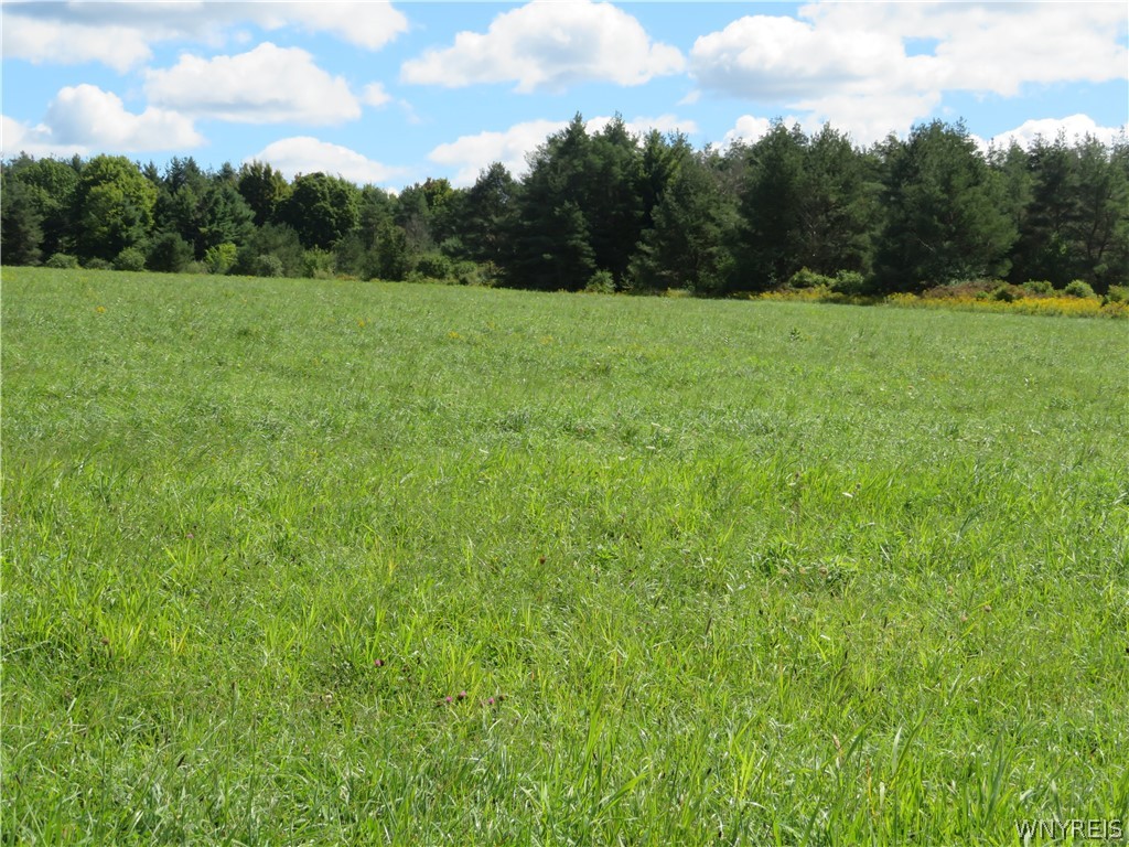 Glinderman Road Fillmore, NY 14735 - Photo 3 of 10 Gallery Image 3