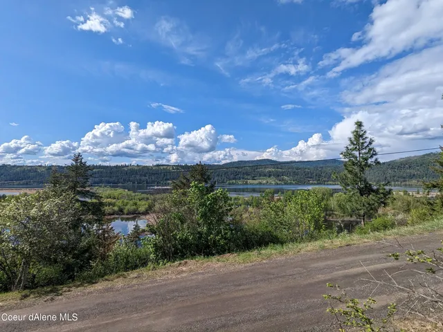 $49,000 | Nka North Frederick Avenue, Harrison, ID 83833