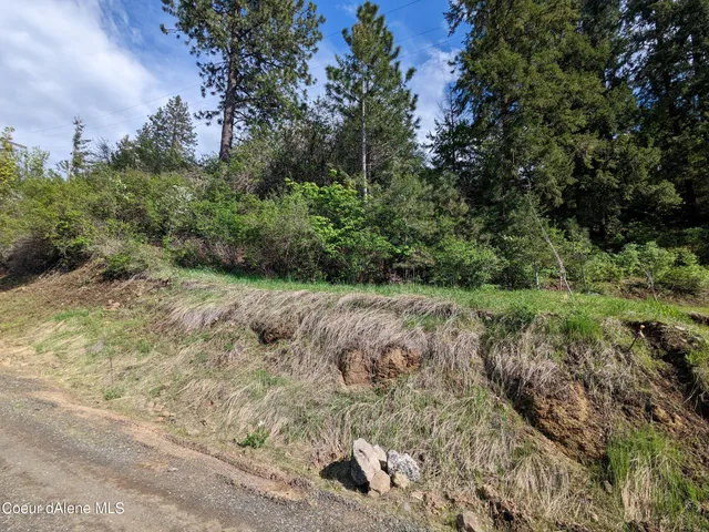 $49,000 | Nka North Frederick Avenue, Harrison, ID 83833