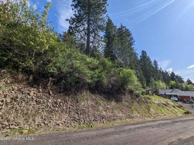 $49,000 | Nka North Frederick Avenue, Harrison, ID 83833