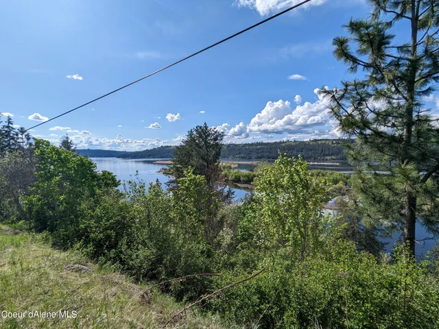 $49,000 | Nka North Frederick Avenue, Harrison, ID 83833