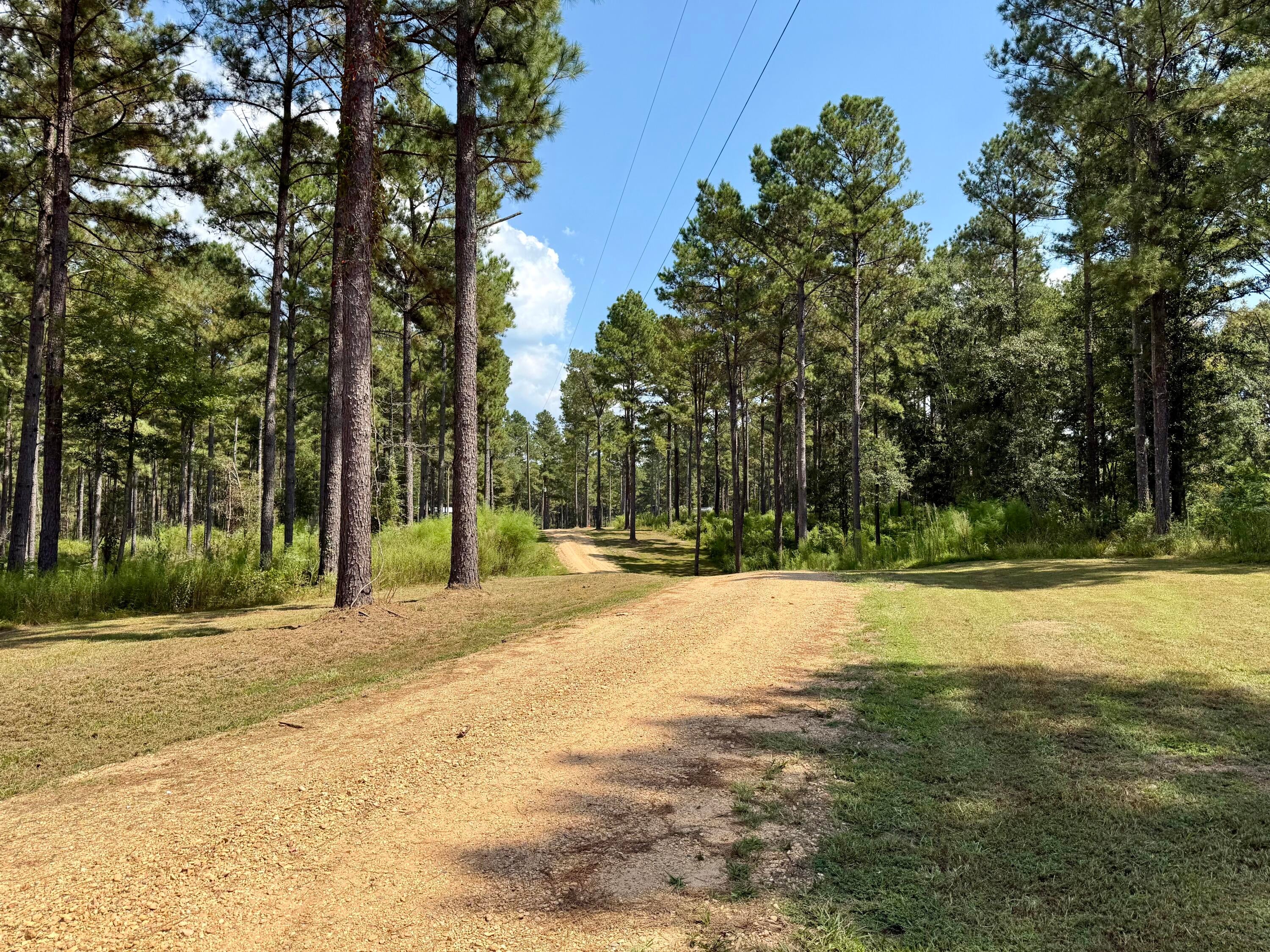 1222 Gates Road Columbia, MS 39429 - Photo 41 of 50 driveway