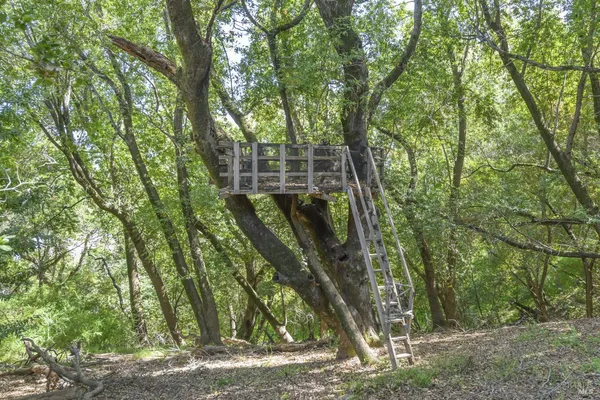 $1,795,000 | 101 Garner Drive, Novato, CA 94947