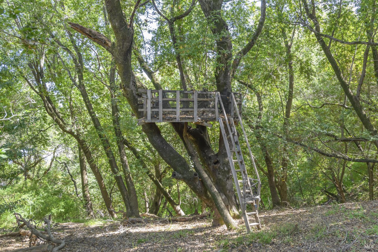 101 Garner Drive Novato, CA 94947 - Photo 53 of 57