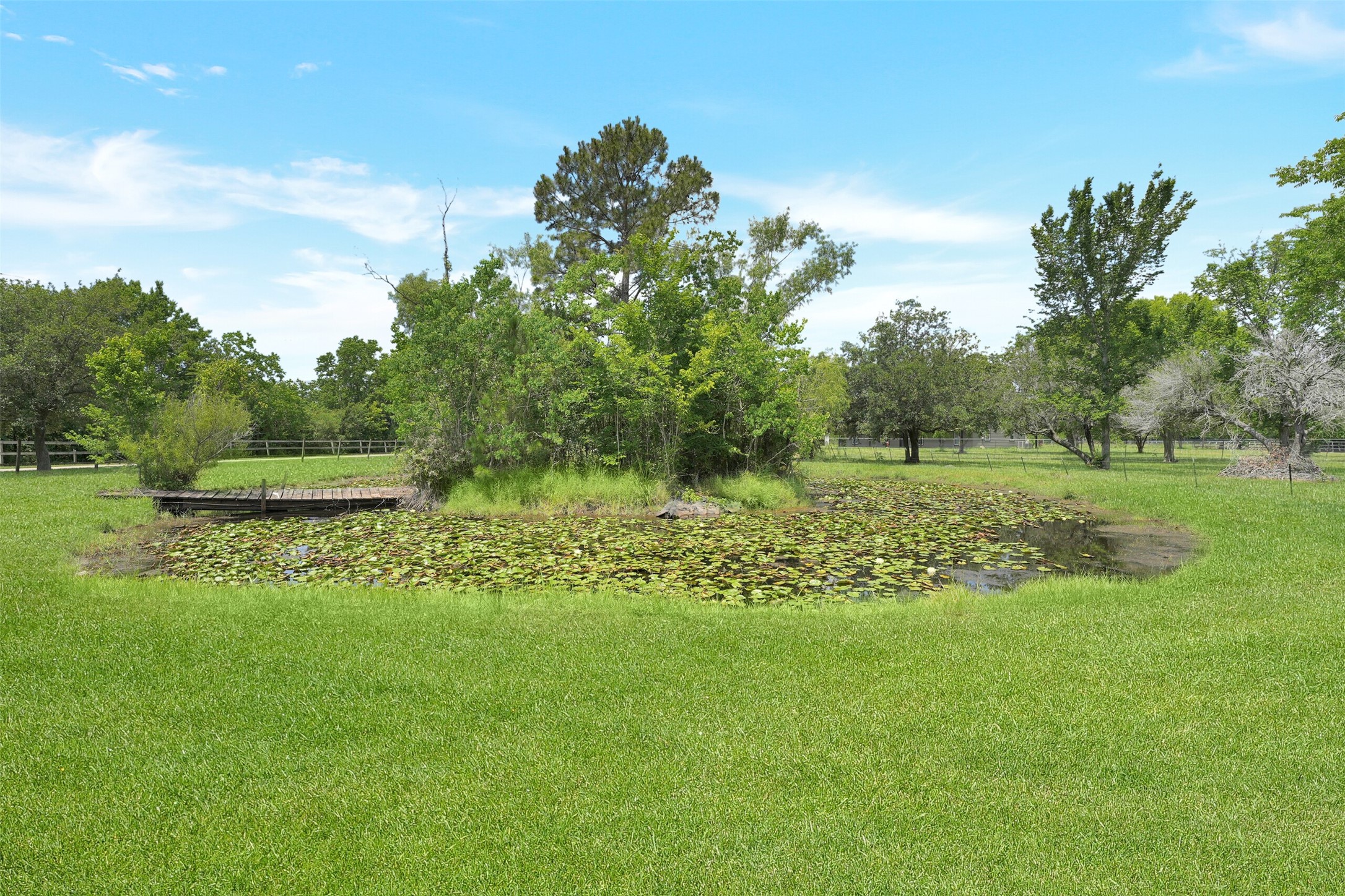 2750 County Road 48 Rosharon, TX 77583 - Photo 35 of 40 a garden view with a fountain