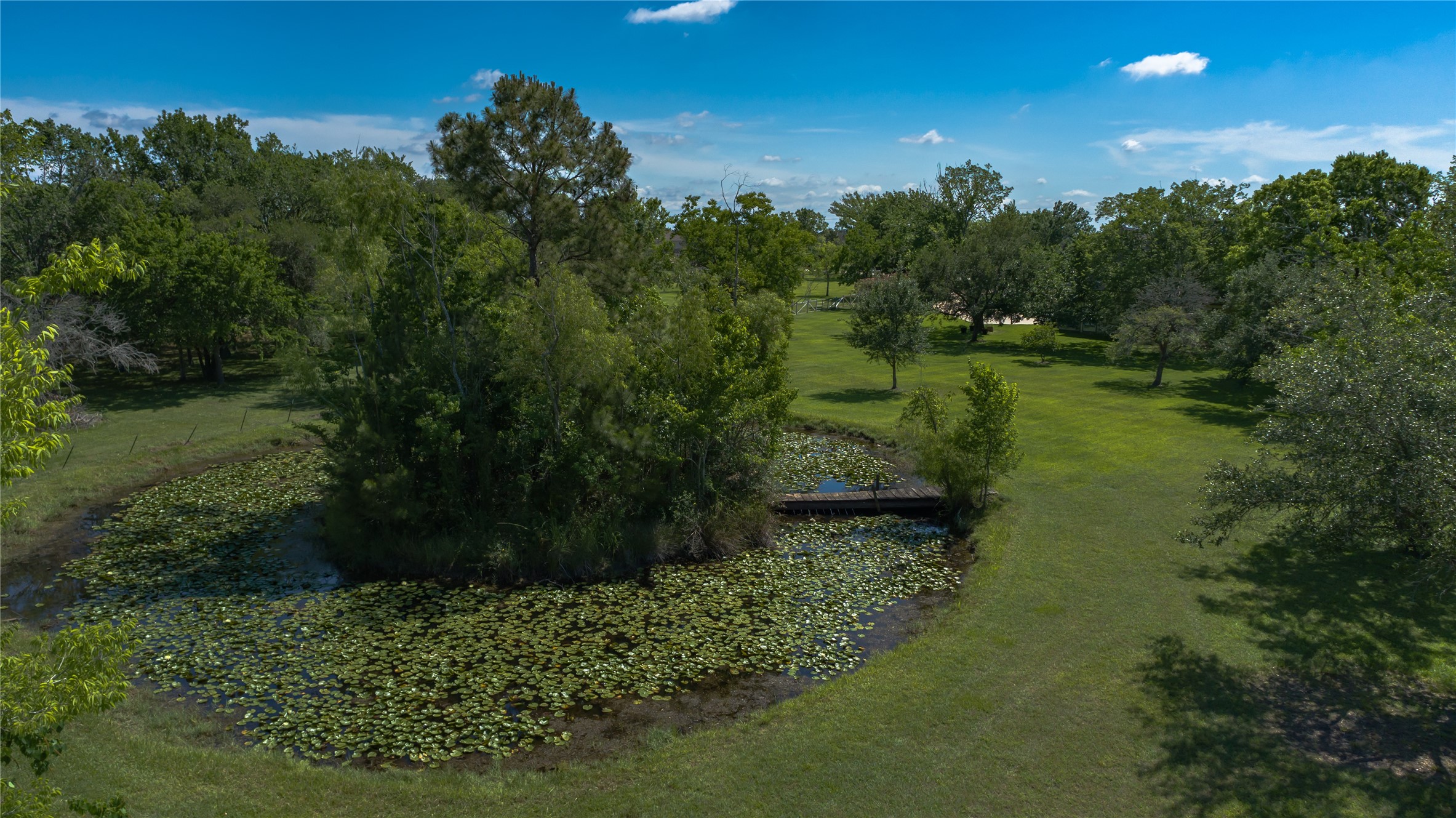 2750 County Road 48 Rosharon, TX 77583 - Photo 40 of 40 a view of a garden with a lake