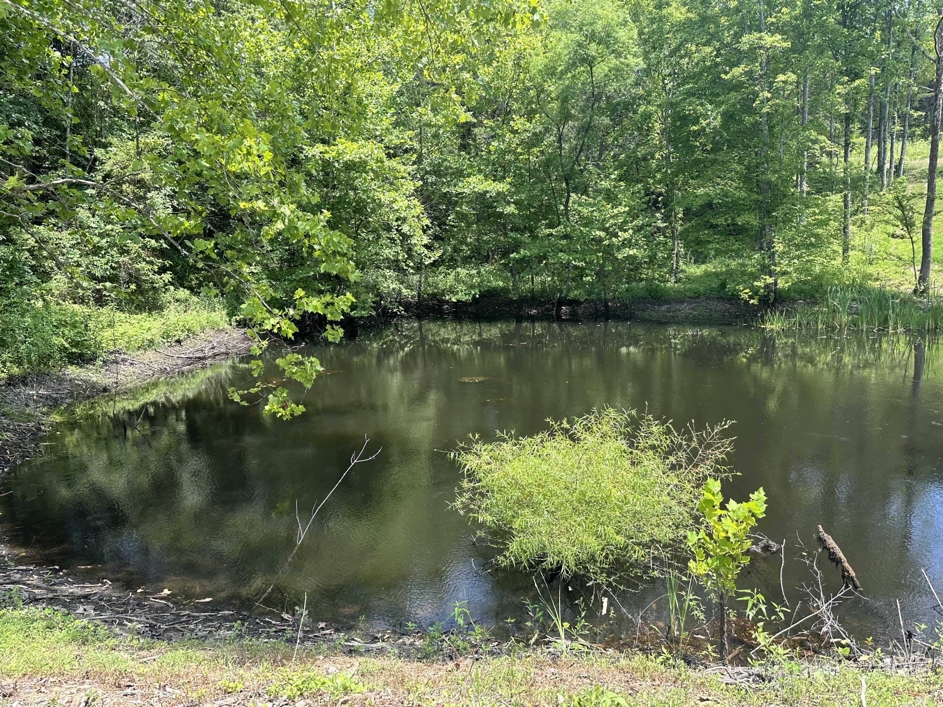 1810 Baldwin Road McKee, KY 40447 - Photo 39 of 52 IMG_5654