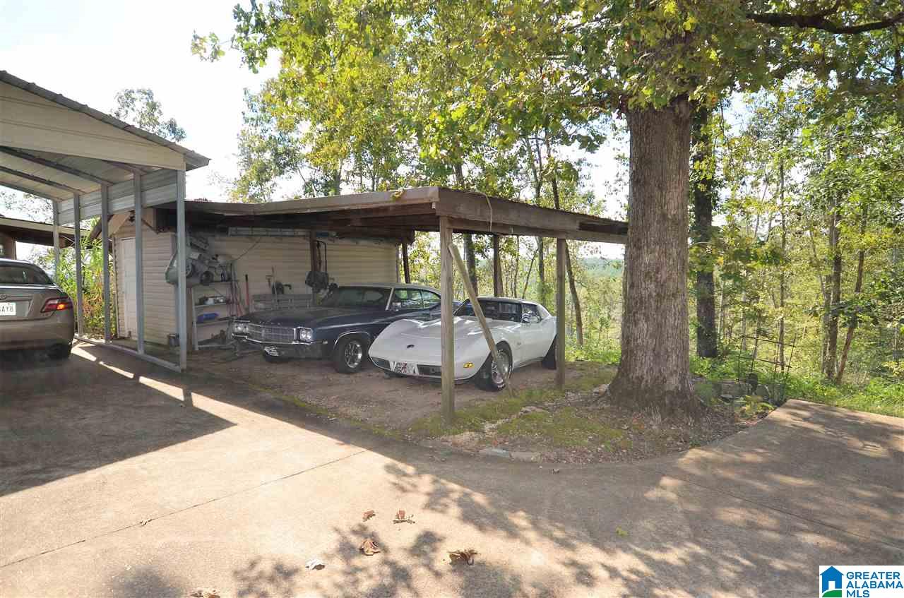 366 Tingle Road Double Springs, AL 35553 - Photo 32 of 39