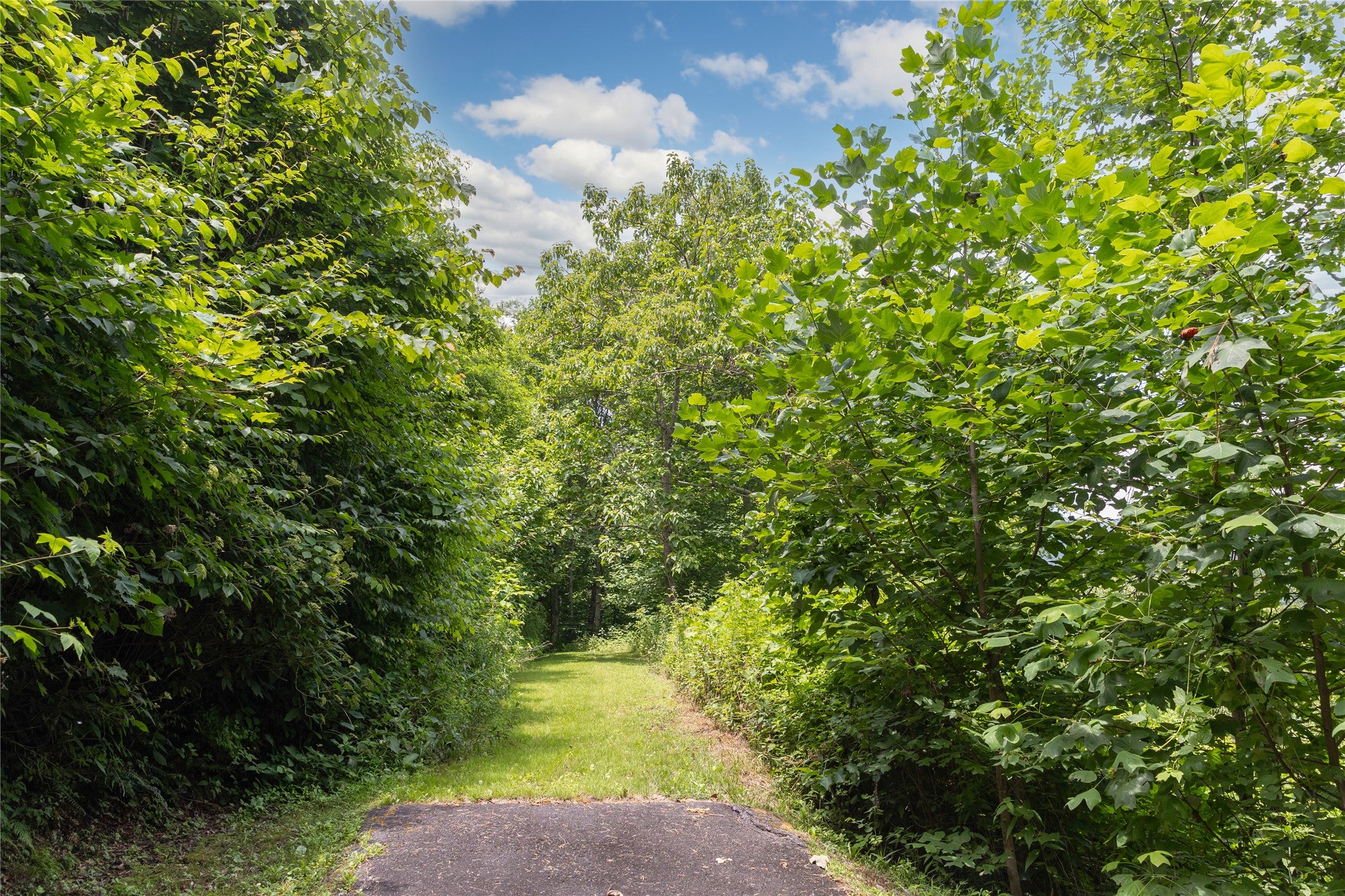 2652 Pilot Knob Road Tuckasegee, NC 28783 - Photo 12 of 33 Gallery Image 12
