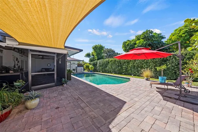 a close up of a palm tree