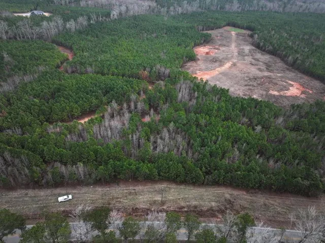 a view of a pathway both side of yard