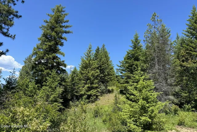 $399,000 | Nna Lot 2 Nna Drive, Sagle, ID 83860