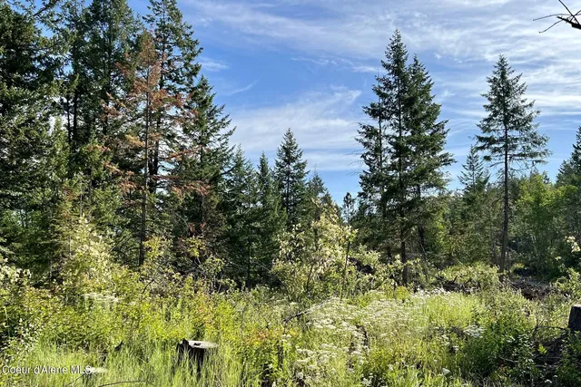 $399,000 | Nna Lot 2 Nna Drive, Sagle, ID 83860