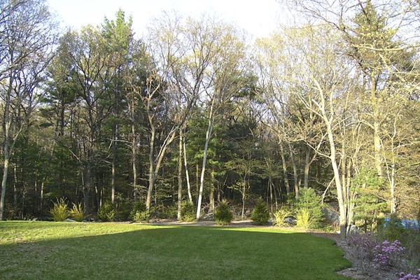 12 B Foxhill Road, Unit B Foxboro, MA 02035 - Photo 25 of 25 Gallery Image 25