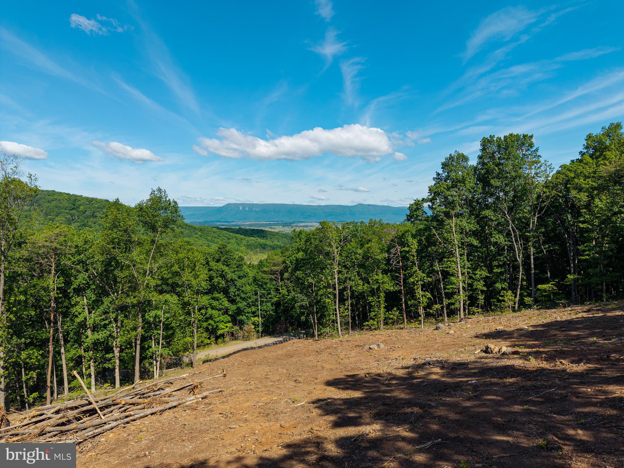 0 Cross Mountain Road Luray, VA 22835 - Photo 29 of 51