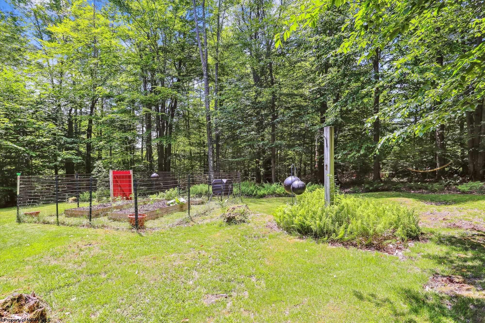 127 Cub Road Davis, WV 26260 - Photo 30 of 30 Gallery Image 30