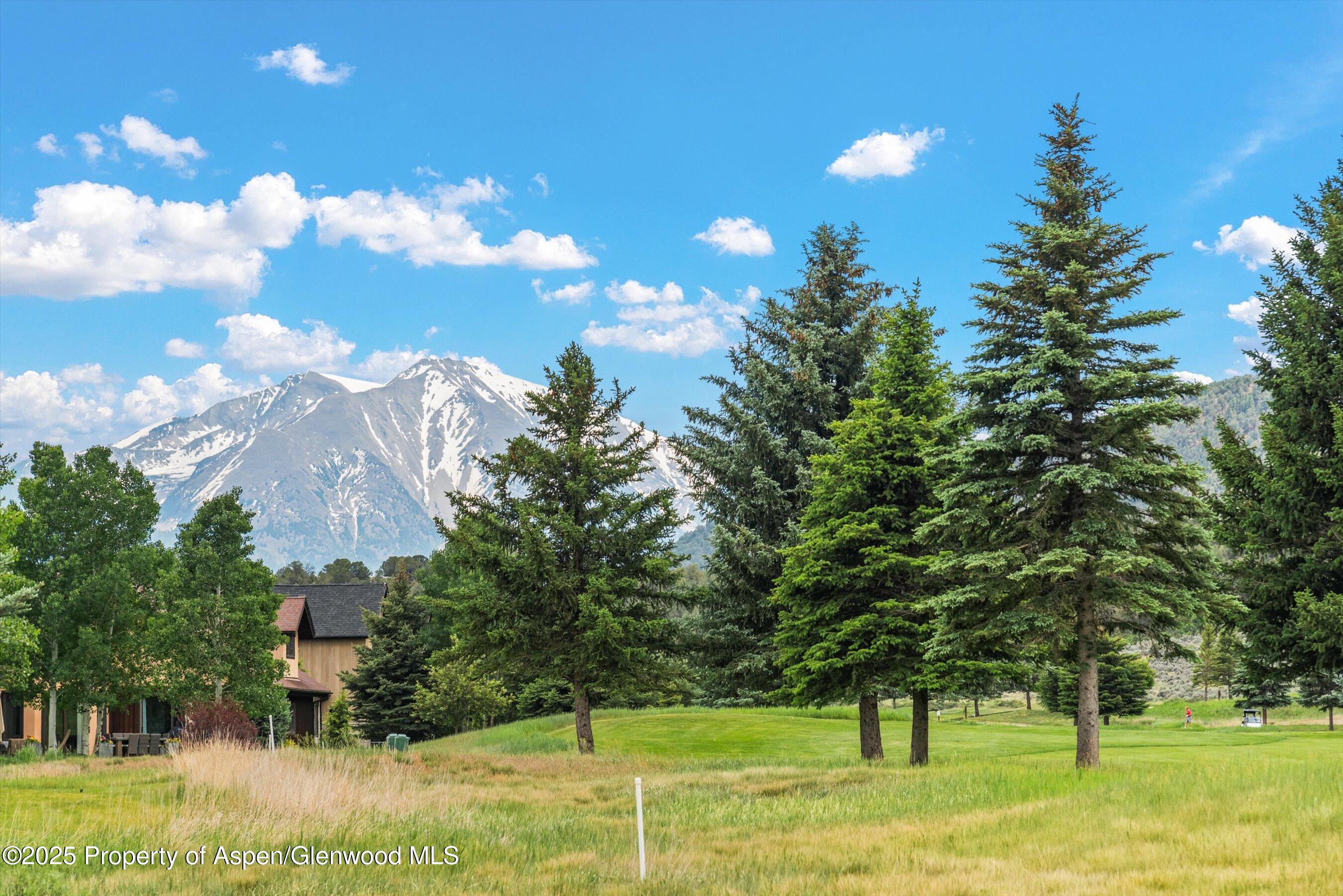 265 Saddleback Road Carbondale, CO 81623 - Photo 1 of 20 a view of a yard with an trees