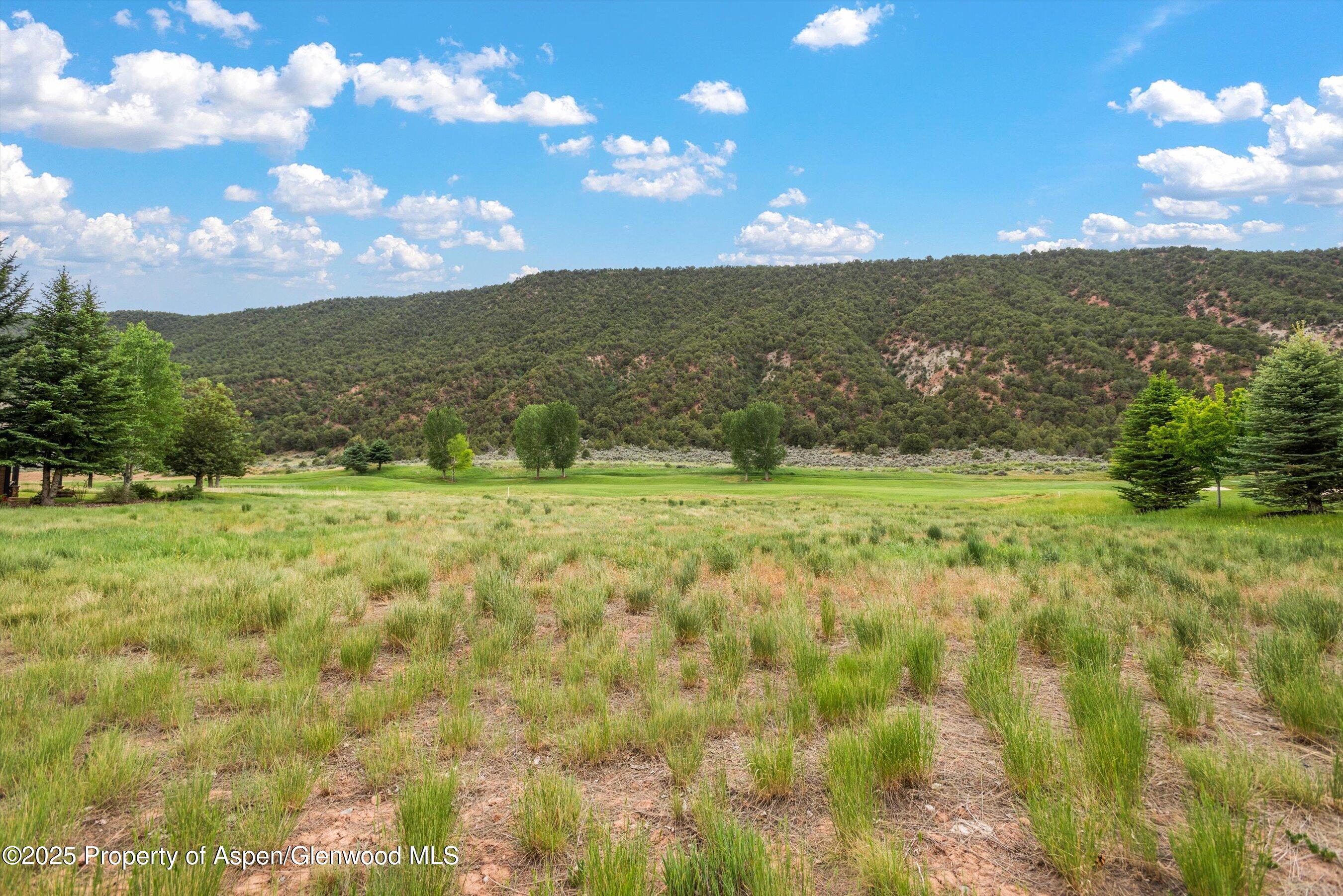 265 Saddleback Road Carbondale, CO 81623 - Photo 14 of 20 a view of a field with an ocean