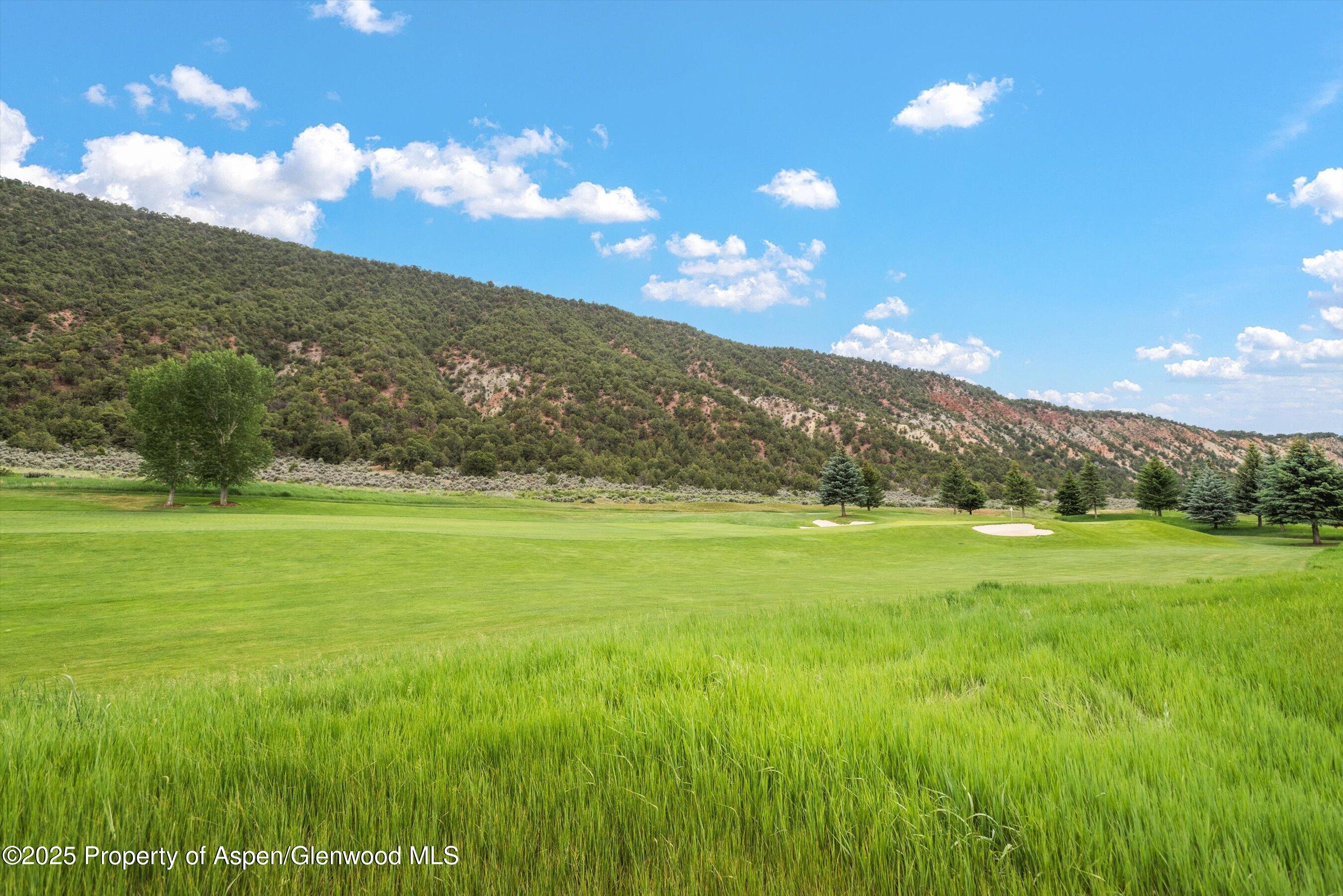 265 Saddleback Road Carbondale, CO 81623 - Photo 3 of 20 a view of a green field with an ocean