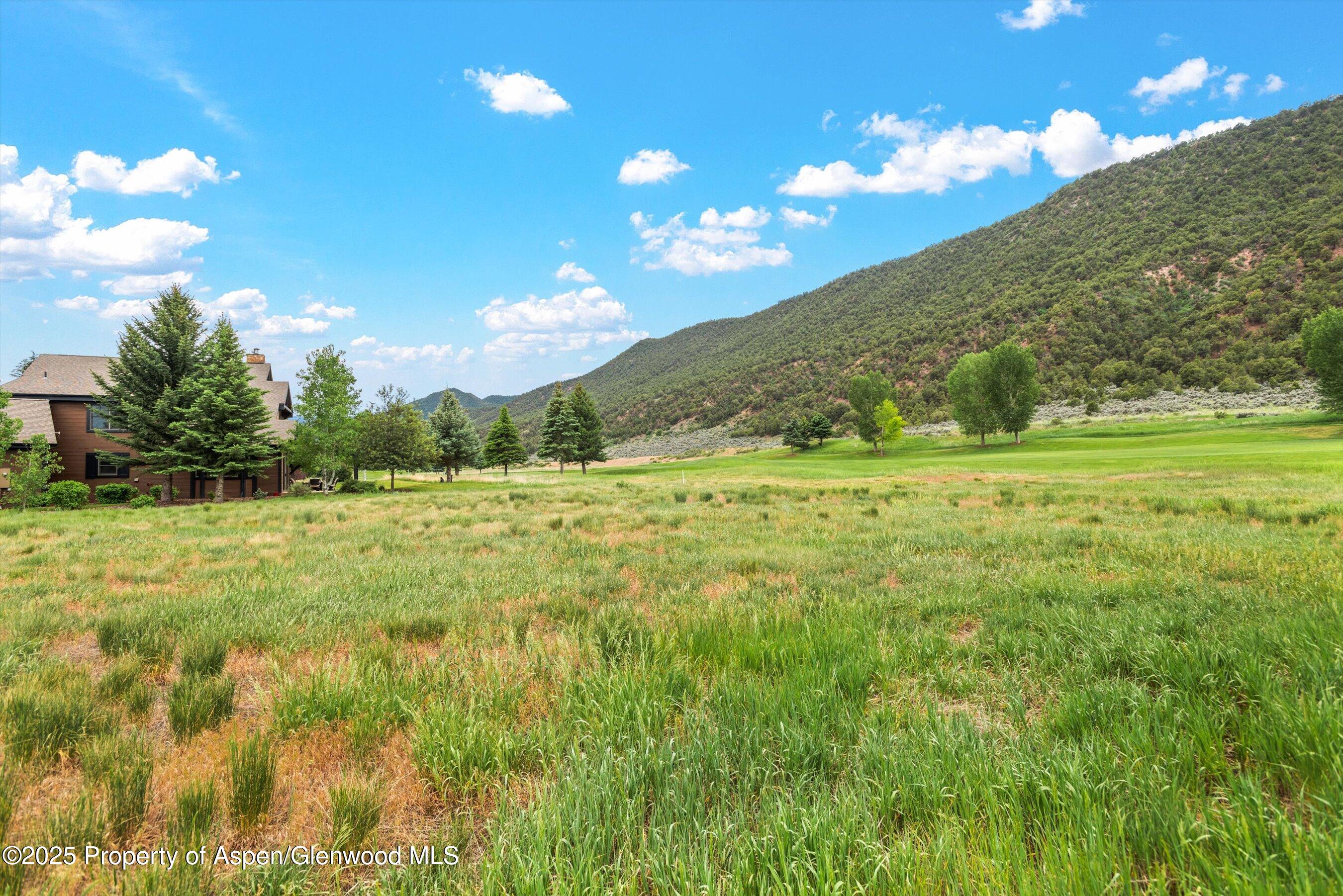 265 Saddleback Road Carbondale, CO 81623 - Photo 5 of 20 a view of a big yard with lots of green space and mountain view