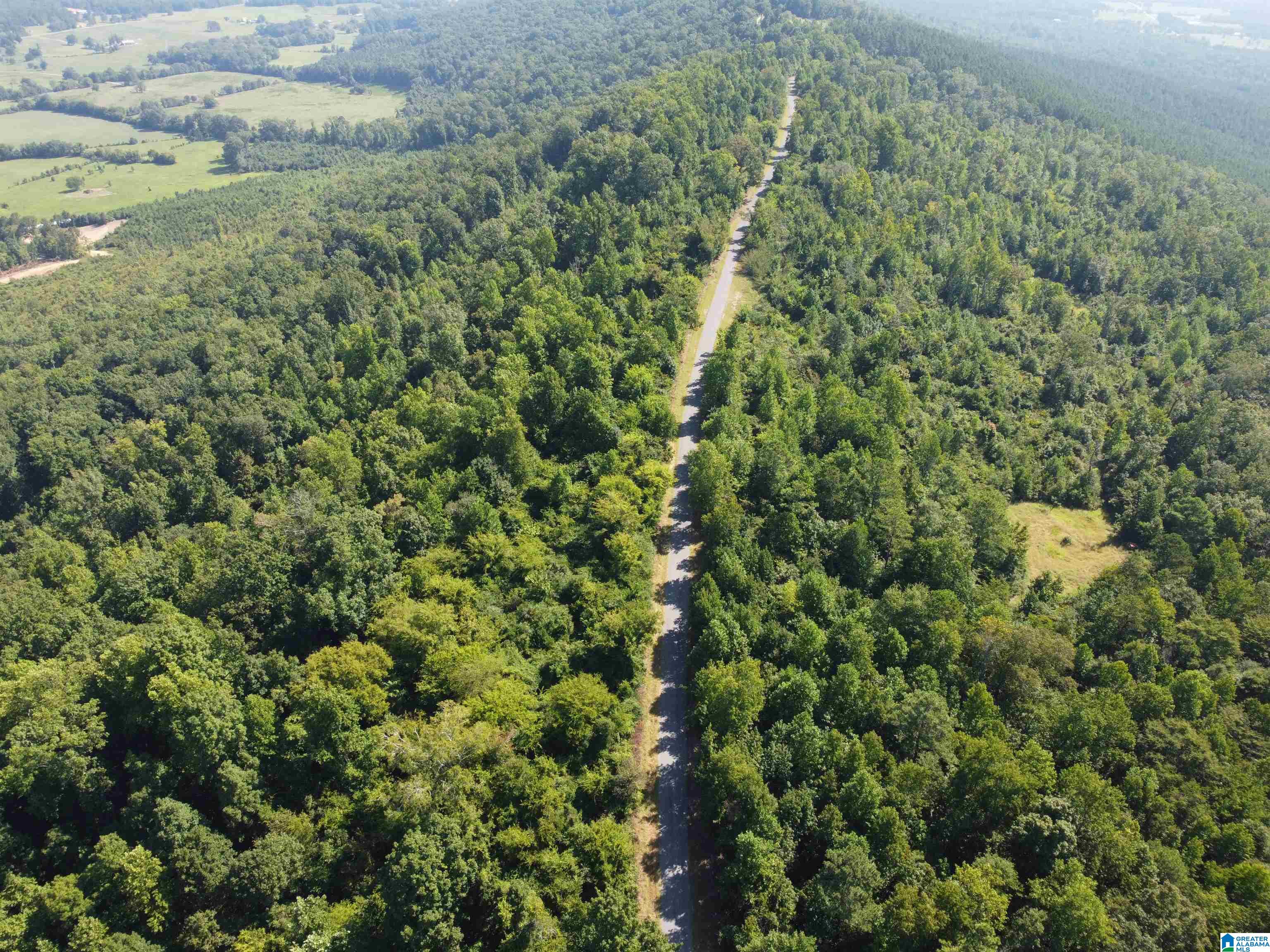 0 Beaver Mountain Road Ashville, AL 35953 - Photo 14 of 40