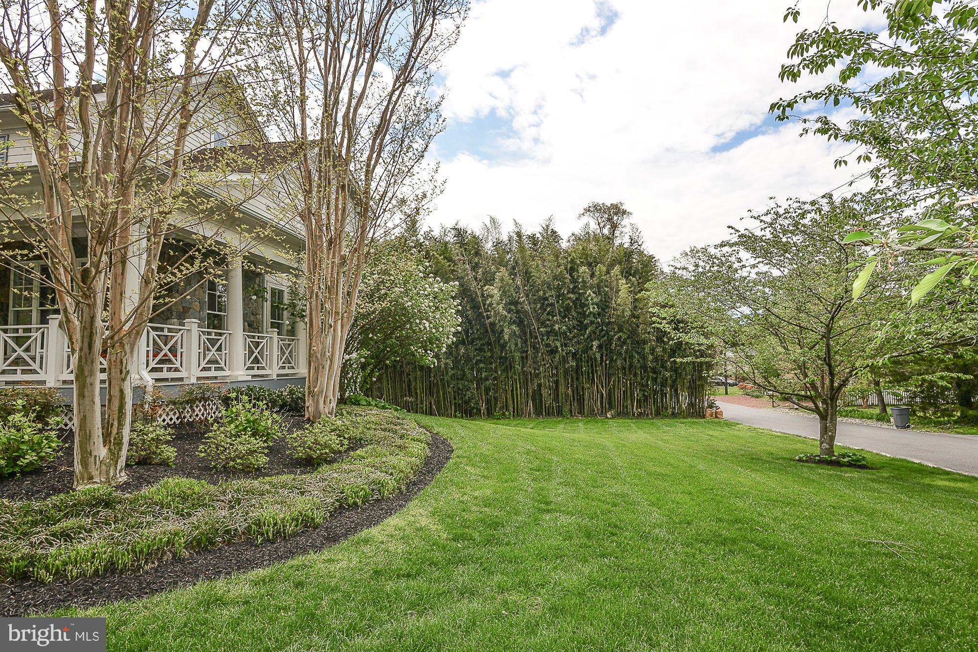 7620 Cabin Road Cabin John, MD 20818 - Photo 37 of 37 Yard