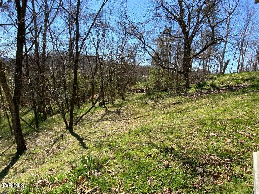 229-235 Henard Road Rogersville, TN 37857 - Photo 13 of 13 20250324214244929239000000-o