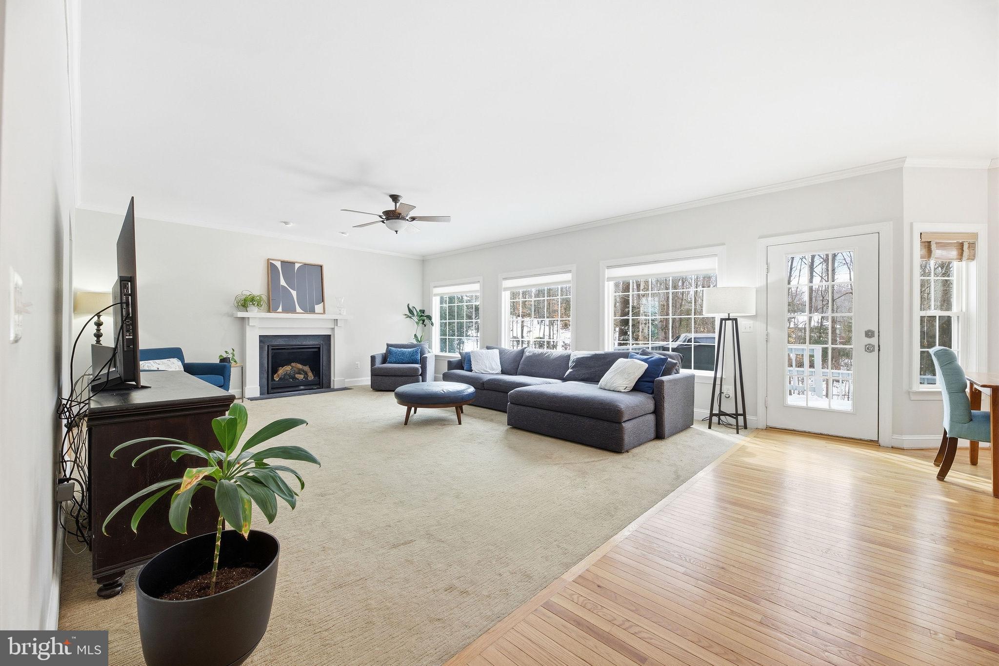 2623 Sequoia Way Prince Frederick, MD 20678 - Photo 21 of 57 a living room with furniture a fireplace and potted plants