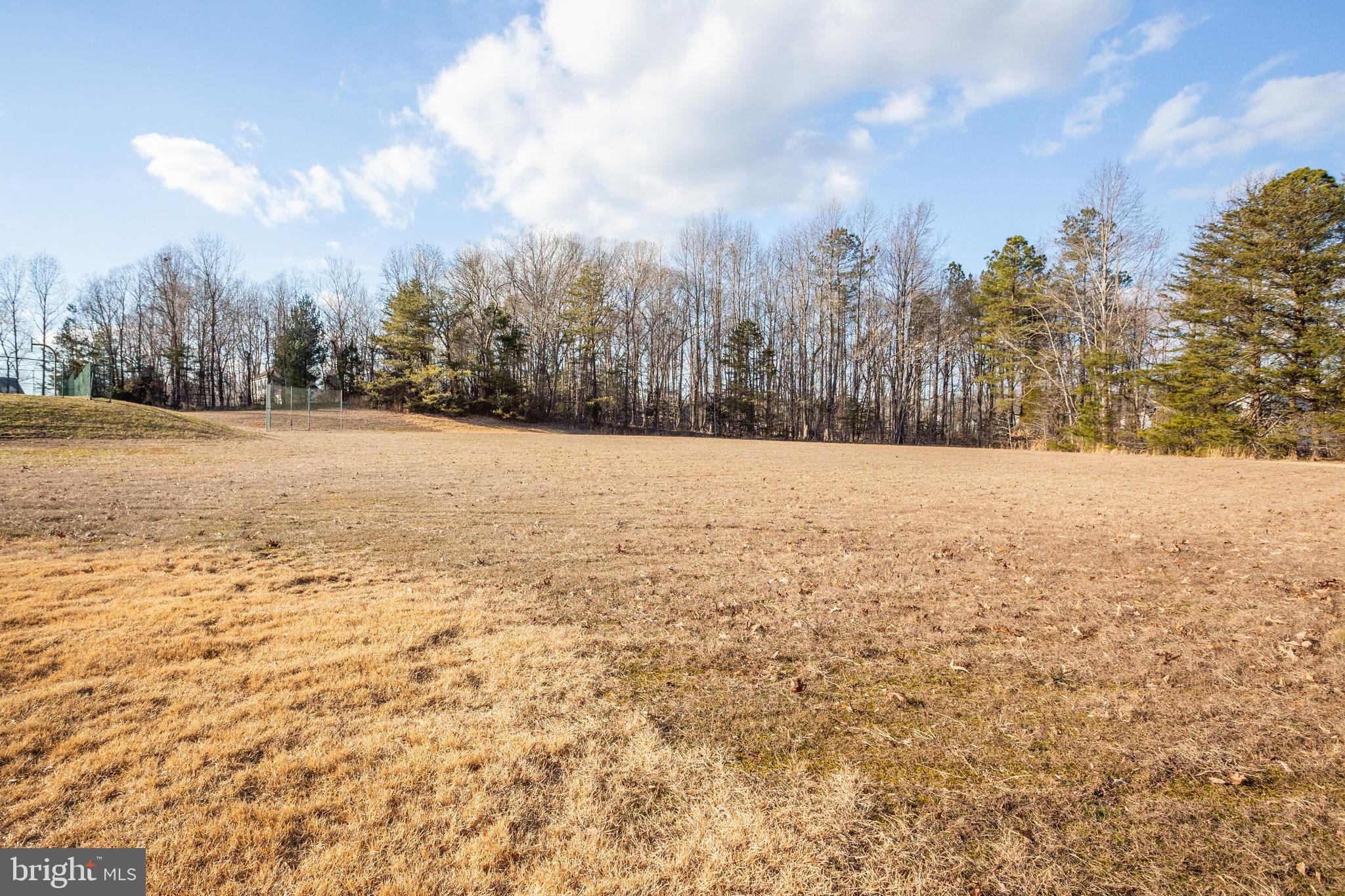 2623 Sequoia Way Prince Frederick, MD 20678 - Photo 54 of 57 a view of empty field with trees in the background