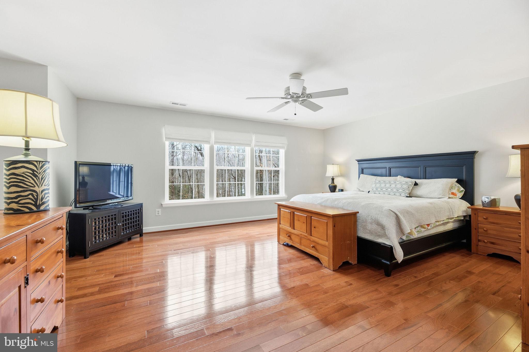 2623 Sequoia Way Prince Frederick, MD 20678 - Photo 6 of 57 a bed room with a bed window and a television
