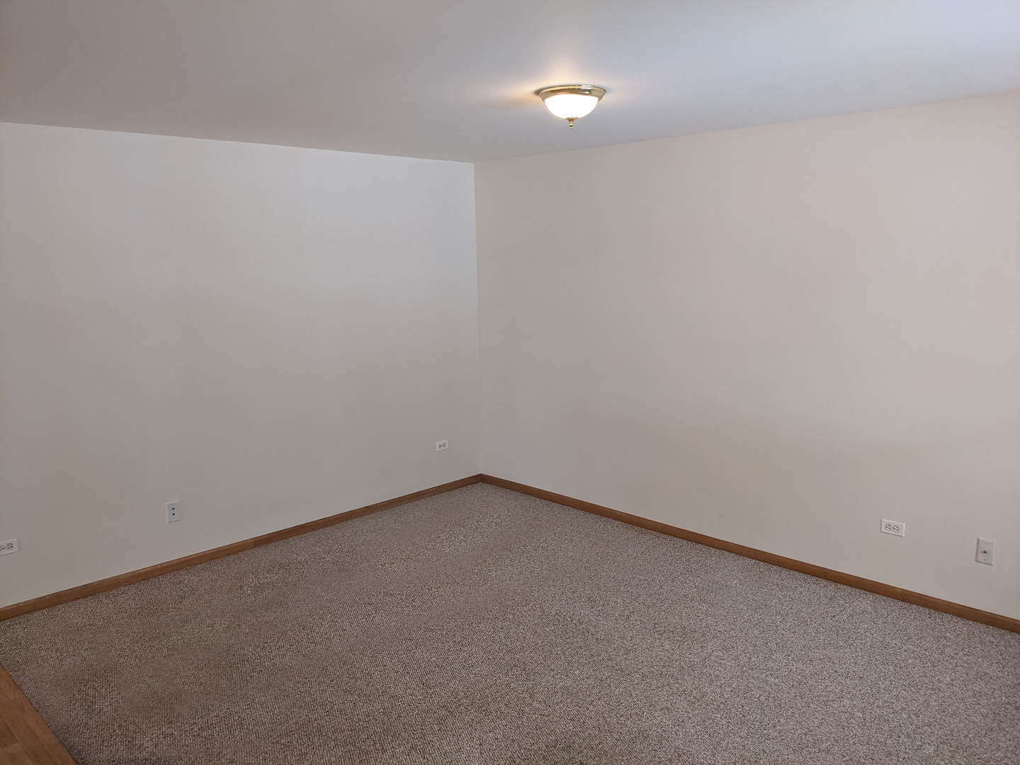 35712 North Wilson Road Ingleside, IL 60041 - Photo 4 of 14