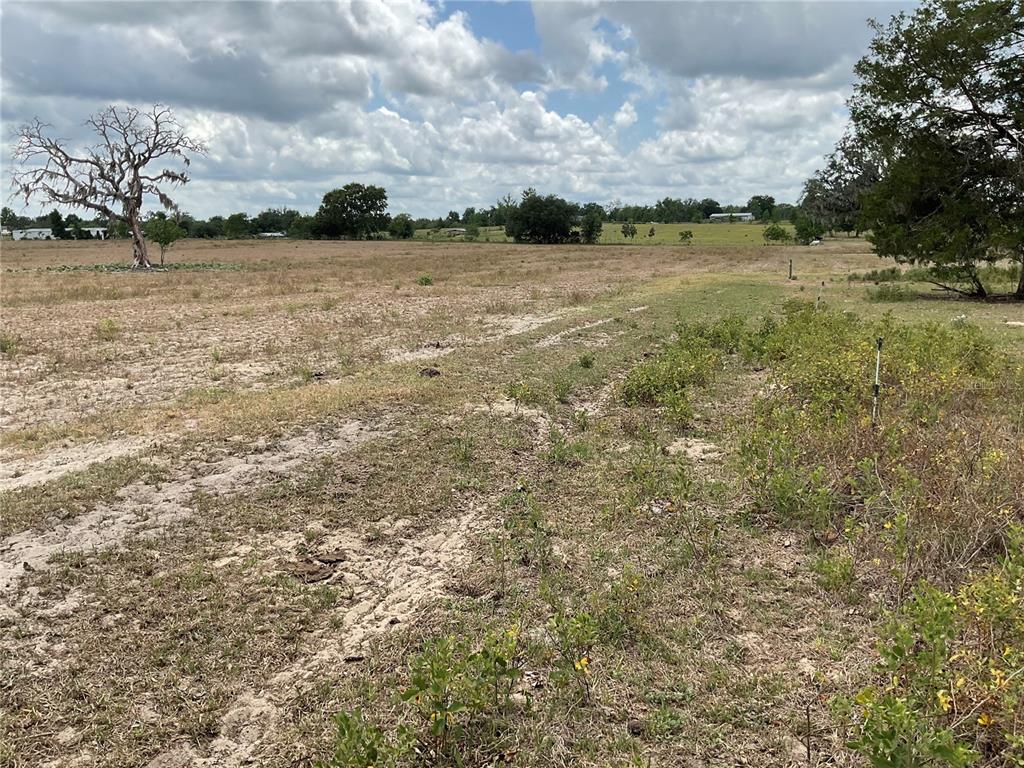 Tbd Northeast 46th Lane, Unit LAND Bronson, FL 32621 - Photo 3 of 5 a view of lake view and mountain view