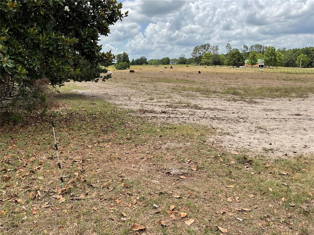 Tbd Northeast 46th Lane, Unit LAND Bronson, FL 32621 - Photo 4 of 5 a view of lake view and mountain