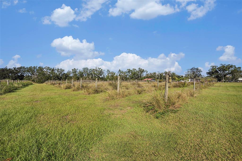 331 Lewis Road Lithia, FL 33547 - Photo 54 of 87 Gallery Image 54