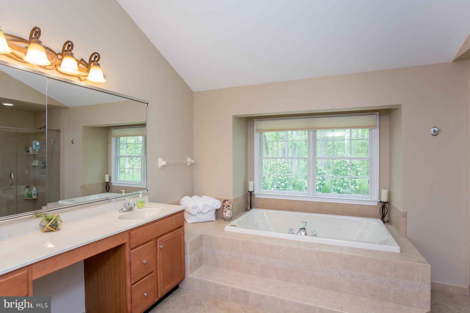 2131 Hawthorne Road New Hope, PA 18938 - Photo 29 of 48 Primary Bath w/Jacuzzi Soaking Tub