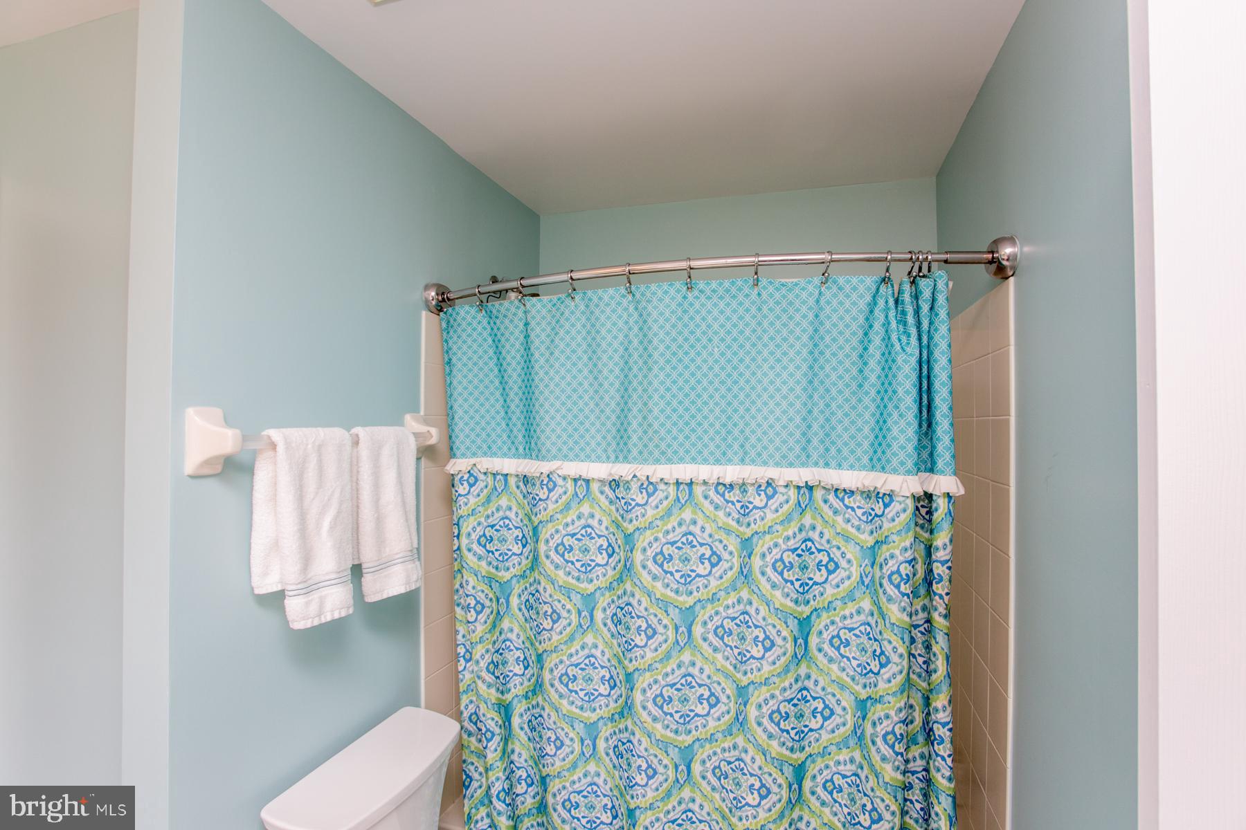 2131 Hawthorne Road New Hope, PA 18938 - Photo 39 of 48 Full-size Shower & Tub