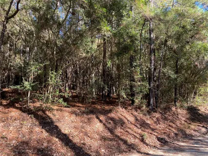 a view of outdoor space with trees