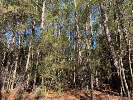 a view of outdoor space