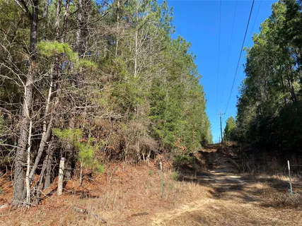 a view of a yard with trees