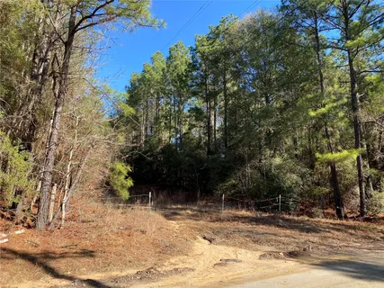a view of a yard with trees