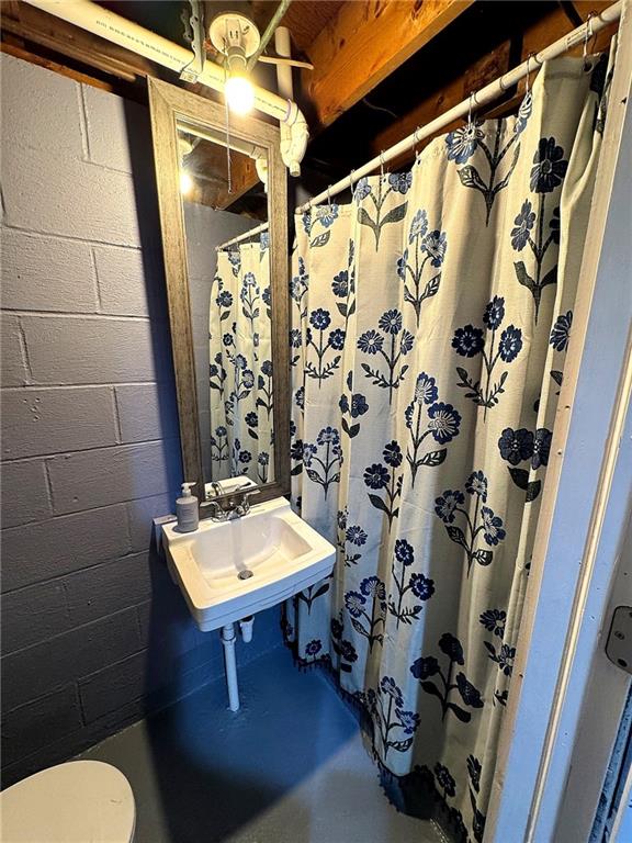 430 Pine Run Road Freedom, PA 15042 - Photo 24 of 25 lower level