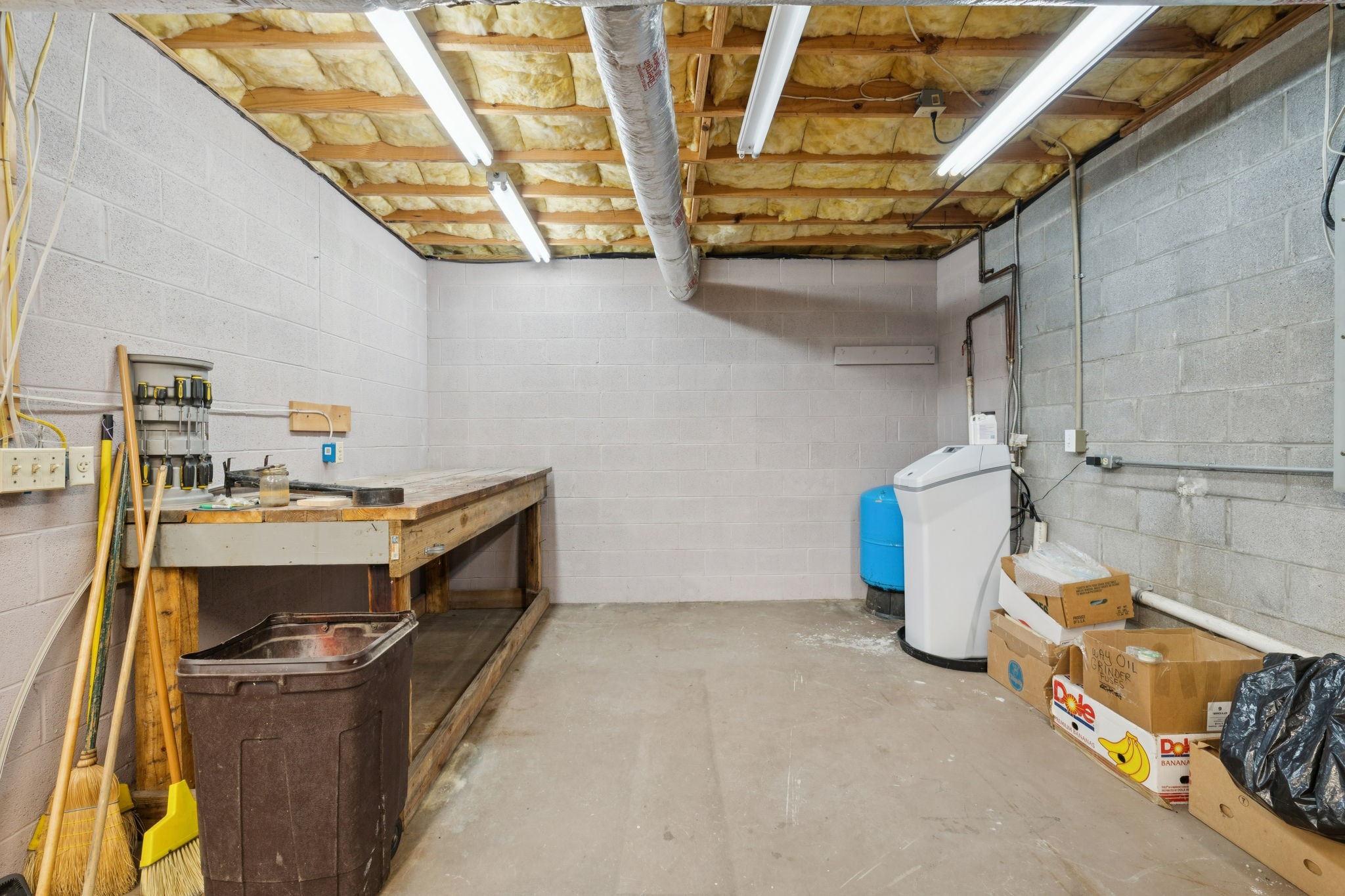 7875 Oscar Green Road Primm Springs, TN 38476 - Photo 23 of 44 a room with storage and utility