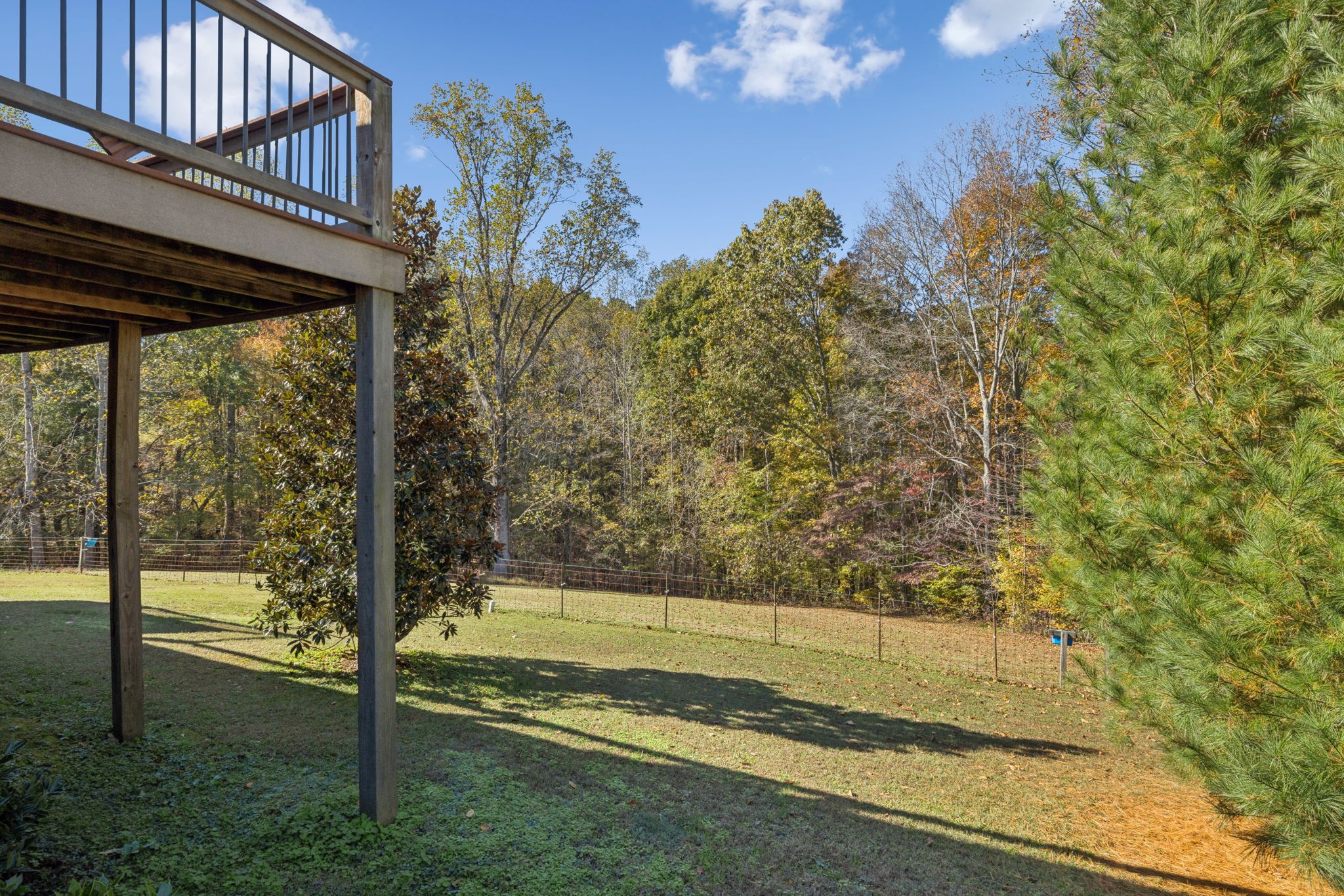 7875 Oscar Green Road Primm Springs, TN 38476 - Photo 27 of 44 a view of a backyard of the house